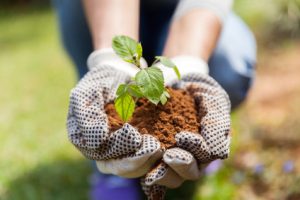 Community Supported Agriculture (CSA) Program