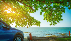 Blue SUV by the water with a tree ovrehead and sun shining